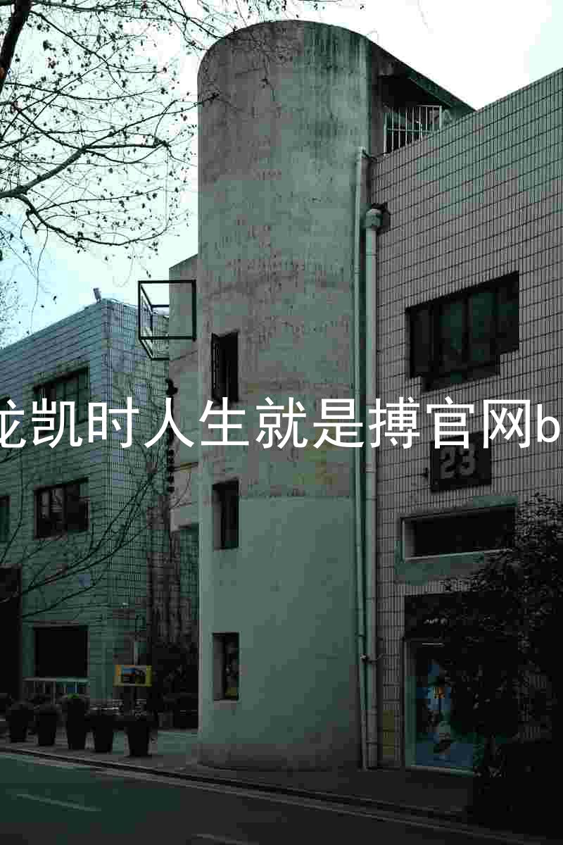 尊龙凯时人生就是搏官网bjl8