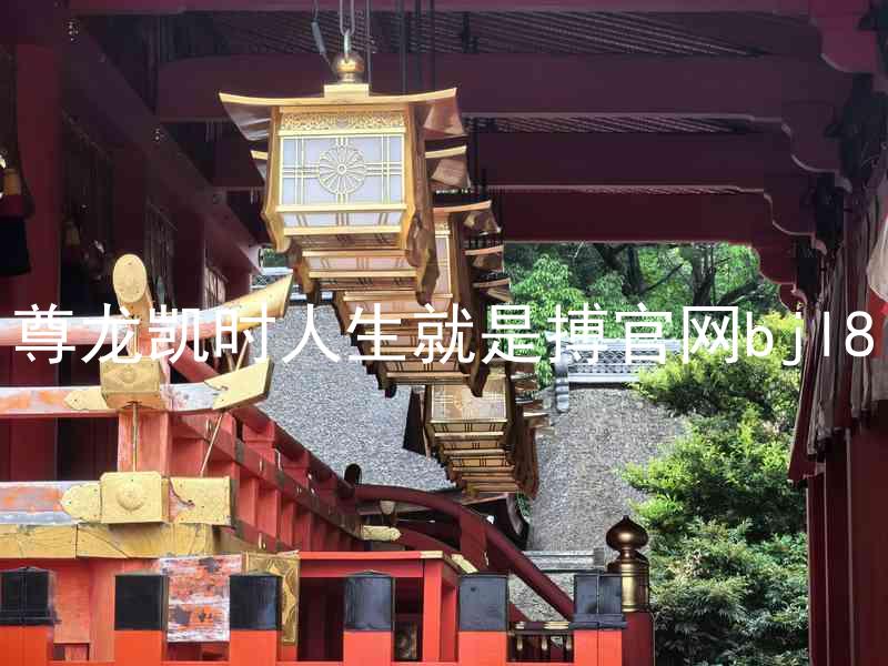 尊龙凯时人生就是搏官网bjl8