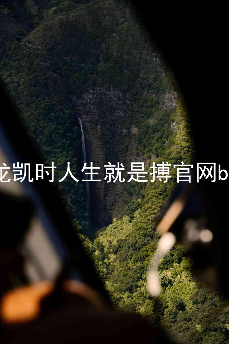 尊龙凯时人生就是搏官网bjl8
