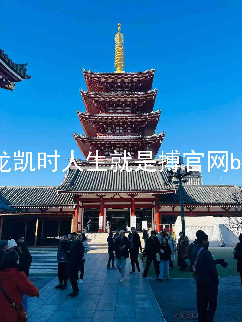 尊龙凯时人生就是搏官网bjl8