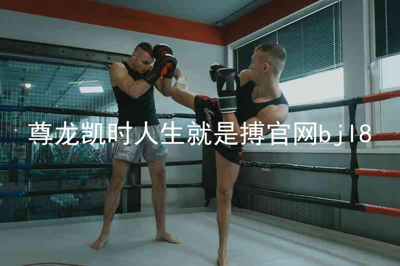 尊龙凯时人生就是搏官网bjl8